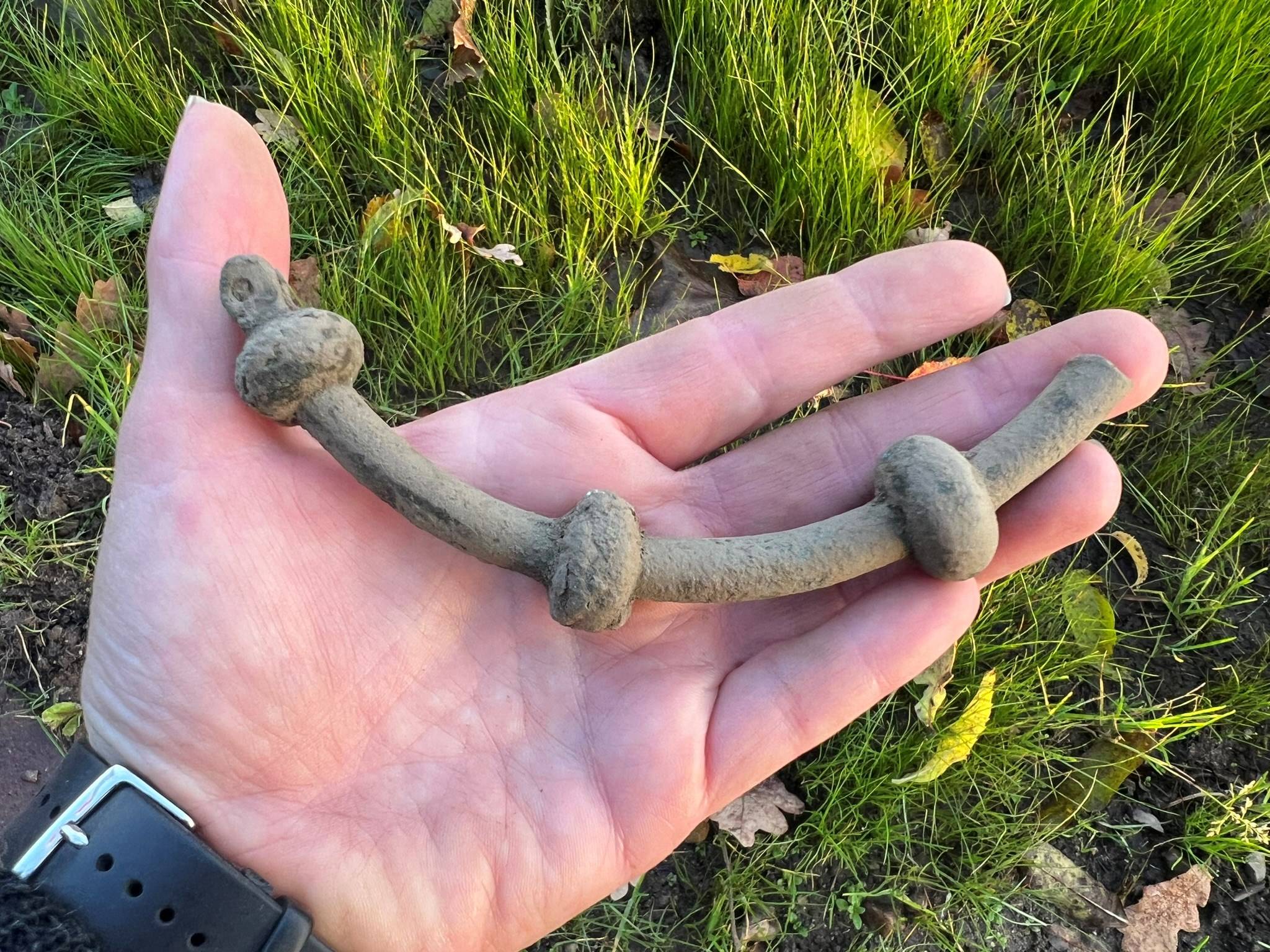 de archeologen in Hedensted hebben ook andere vondsten gedaan, waaronder twee opvallende bronzen nekringen.